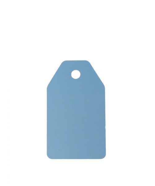 Tag rectangular liso 5x8,5 CELESTE