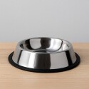 PLATO PARA MASCOTA HUELLAS PLATA
