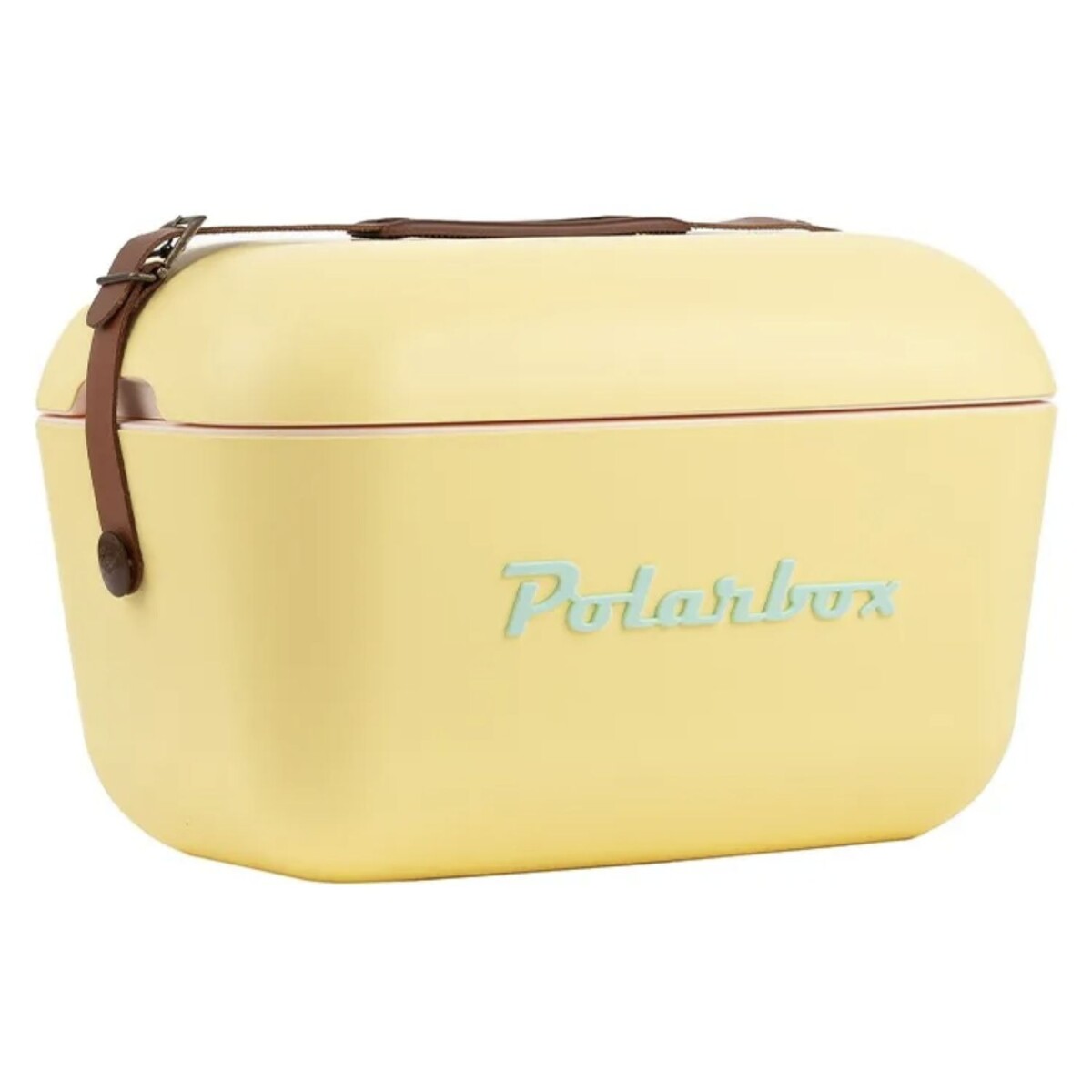 Conservadora Hielera Polarbox Vintage 12 Litros Con Asada POP - Amarillo y Verde Agua 