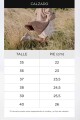 SANDALIA PADDOCK CHISTER Beige