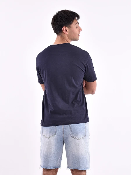 REMERA VARSITY REGULAR ESTAMPADO 2