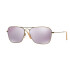 Ray-Ban 3136 Dorado y Lila
