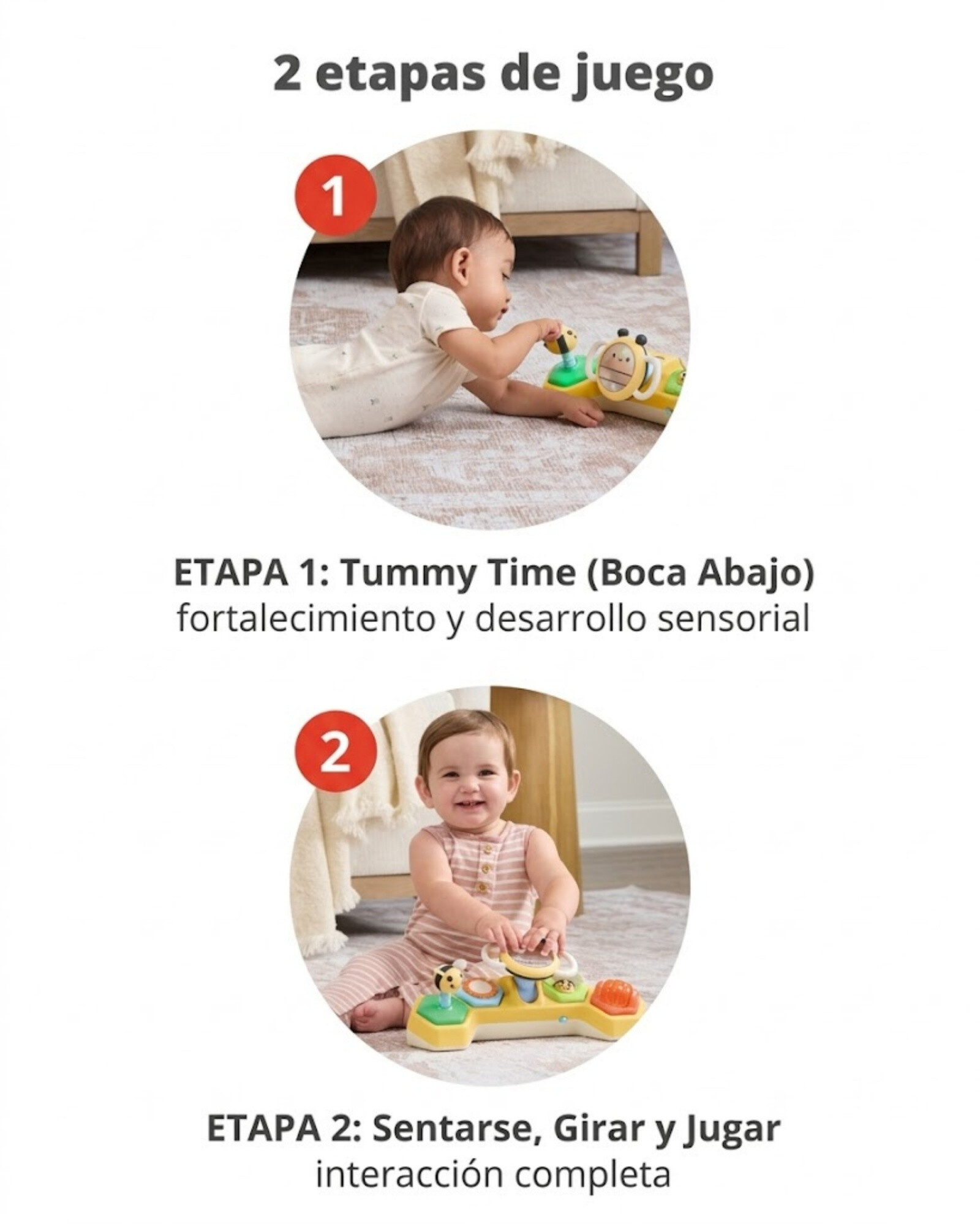 Volante didáctico con luces y música, abejas Volante didáctico con luces y música, abejas