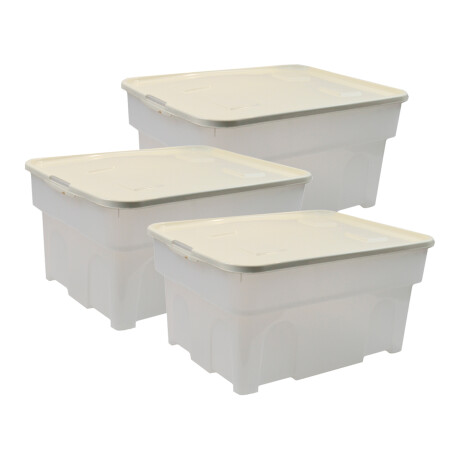 Set x2 Caja organizadora 65 lts BEIGE