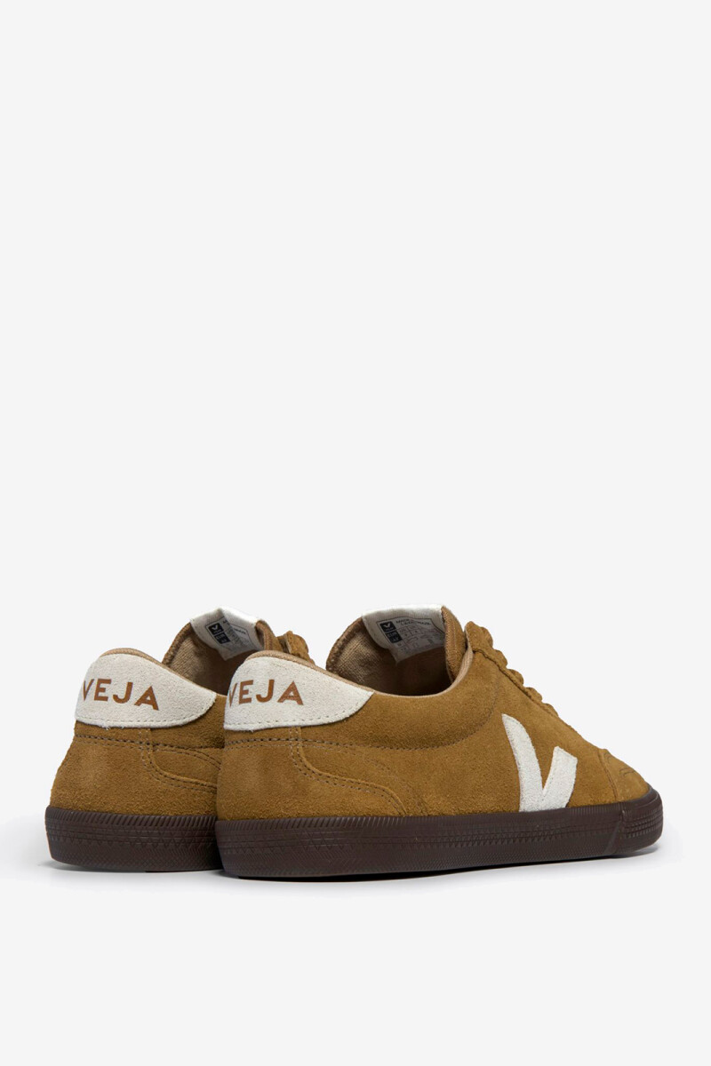 ZAPATILLA VOLLEY Marron