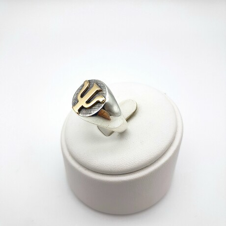 Anillo de plata 925 y oro 10 ktes, SICOLOGÍA. Anillo de plata 925 y oro 10 ktes, SICOLOGÍA.