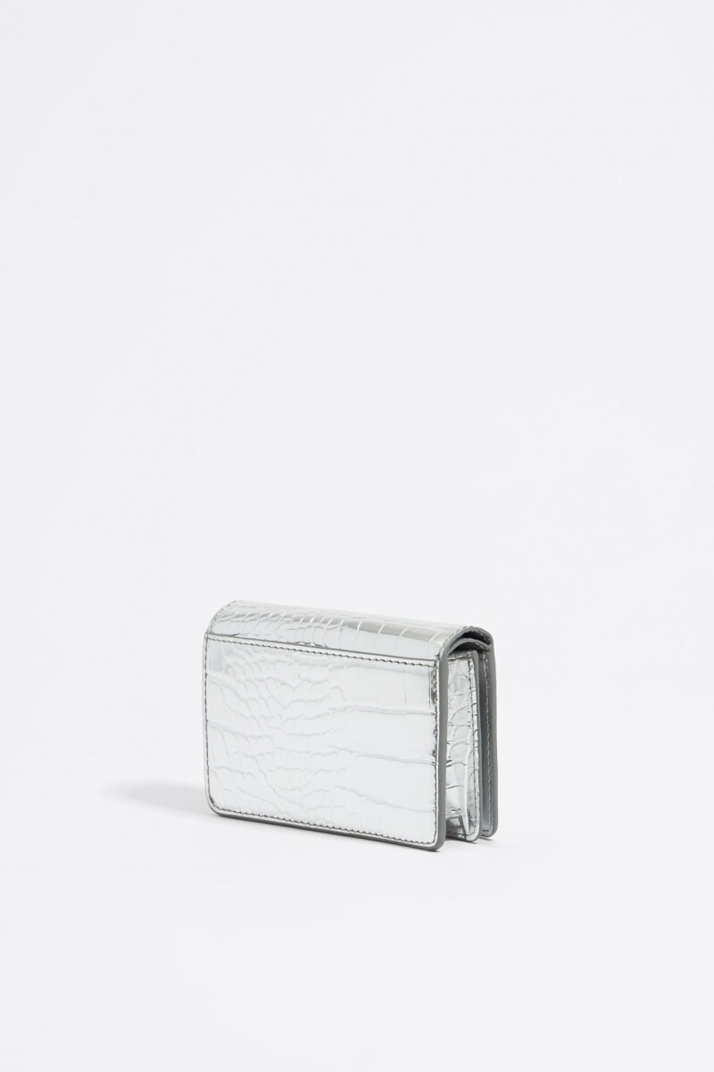 CARTERA Plata