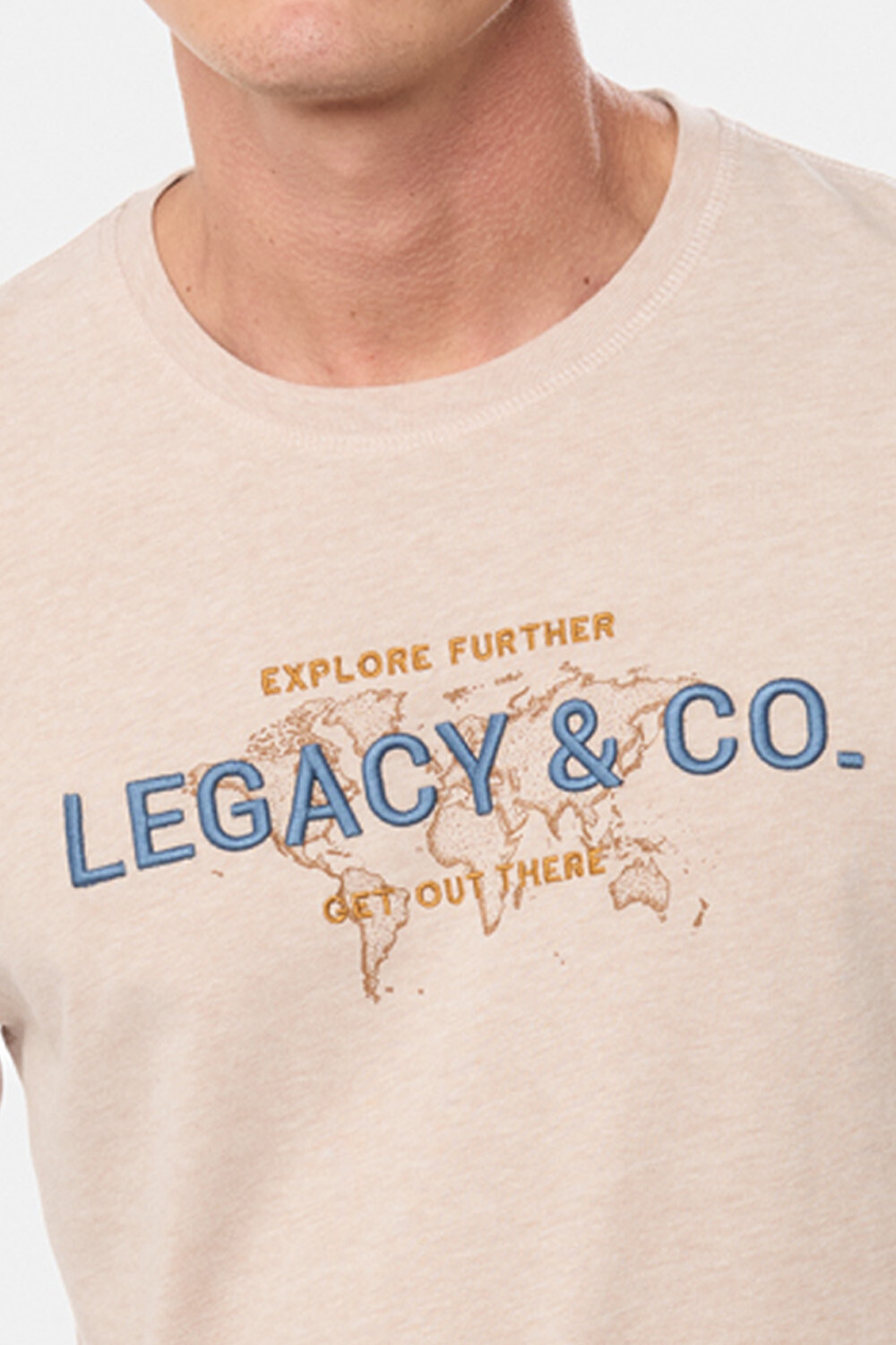 REMERA ESTAMPADA Beige