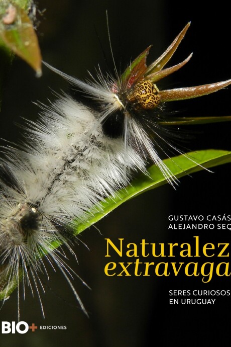 NATURALEZA EXTRAVAGANTE NATURALEZA EXTRAVAGANTE