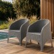 Set 2 Sillones Olivia ratán GRIS