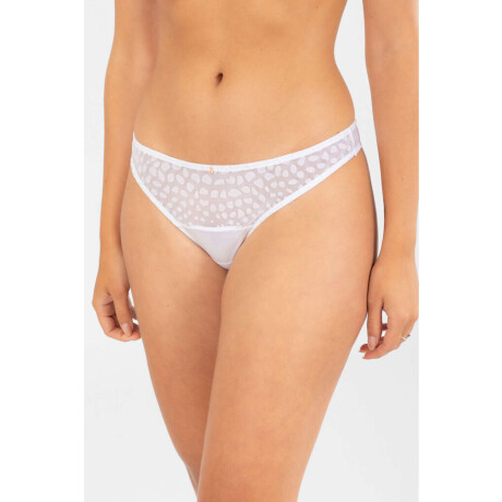 Colaless mystic Blanco