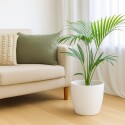 MACETA DECORATIVA REDONDA UMBRA 37CM BLANCO MACETA DECORATIVA REDONDA UMBRA 37CM BLANCO