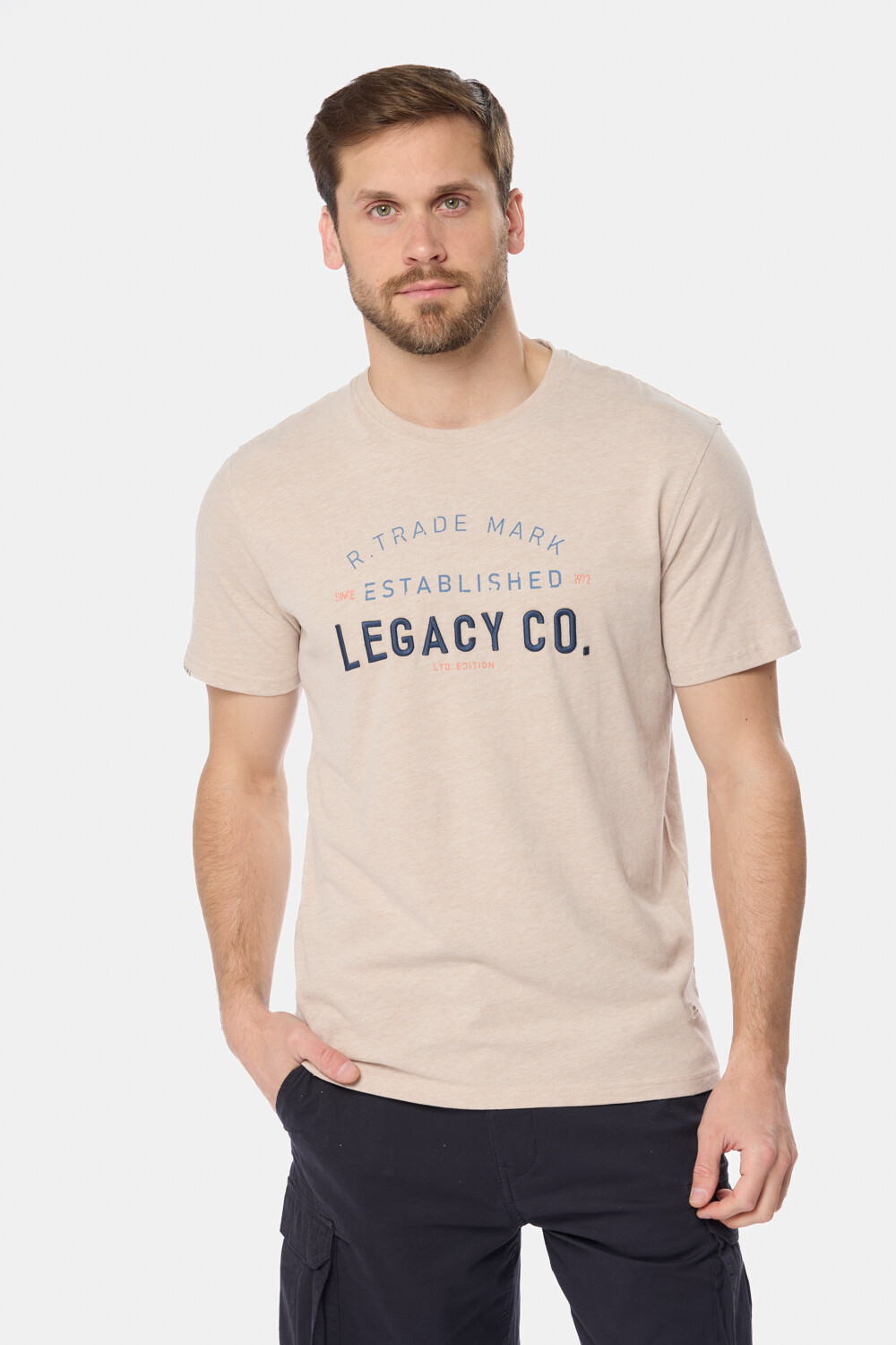 REMERA ESTAMPADA Beige