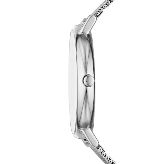 Reloj SKAGEN SIGNATUR Acero Plateado Esfera 38mm 0