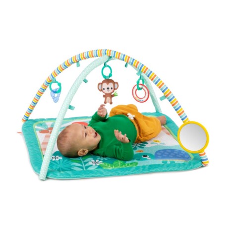 Gimnasio Plegable Palm Party Bright Starts Gimnasio Plegable Palm Party Bright Starts