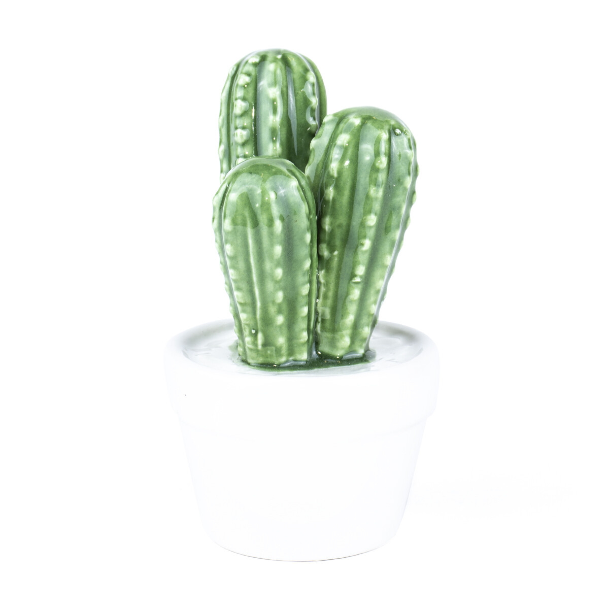 Cactus Thurberi En Cerámica 