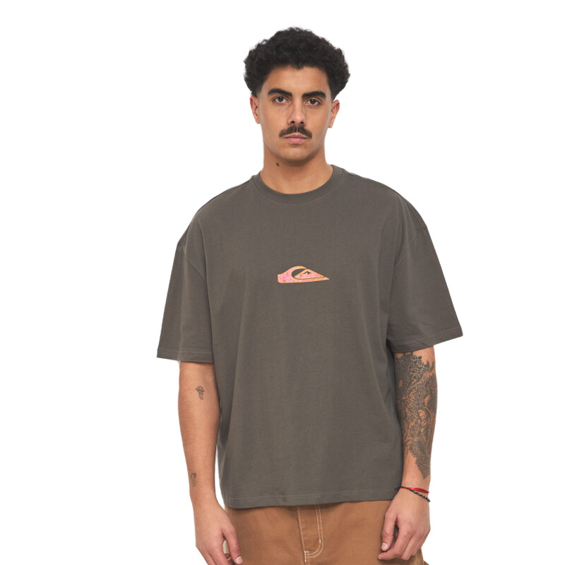 Remera Quiksilver Oval Torch - Gris Remera Quiksilver Oval Torch - Gris