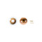 Air Optix Colors (Neutras) Miel