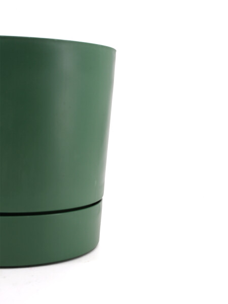 MACETA BEGONIA VERDE