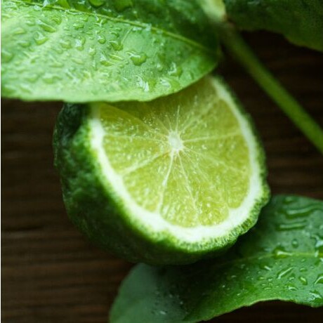 Polo 67 Eau De Toilette 75ml Polo 67 Eau De Toilette 75ml