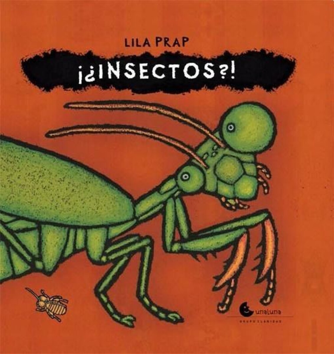 ¡¿insectos?! 