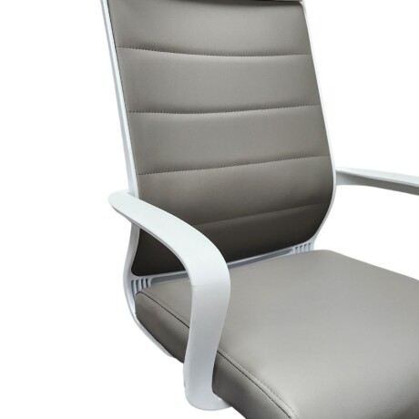 Silla de oficina AeroComfort Pro Gris