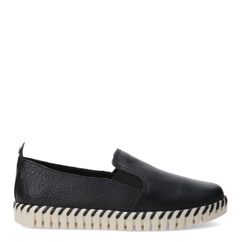 Zapato de Mujer Bottero Lobb Negro