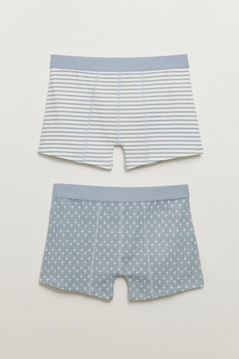 Pack x2 boxer - Estampado Palmeras Gris 