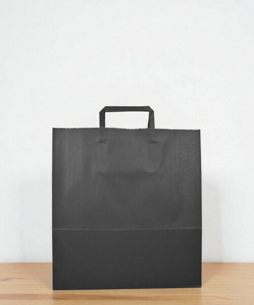Bolsa lisa acuario 30x12x32 cm NEGRO