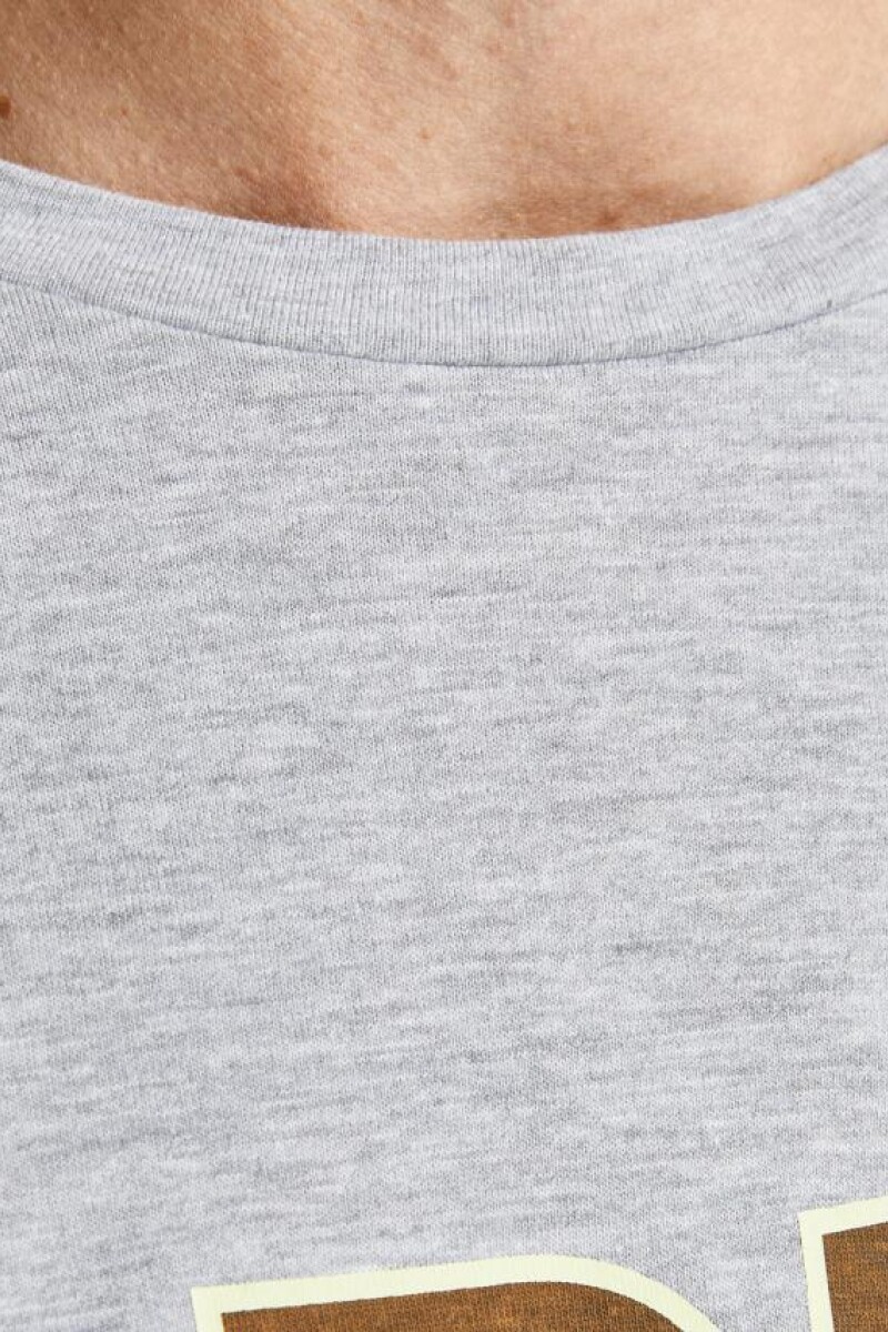 Camiseta Booster Light Grey Melange