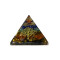 Pirámide De Orgonita Árbol de la vida