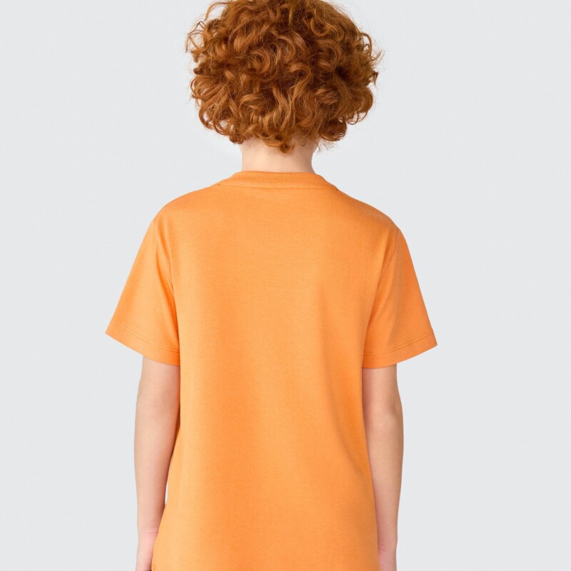 CAMISETA MM MASC SURTIDO