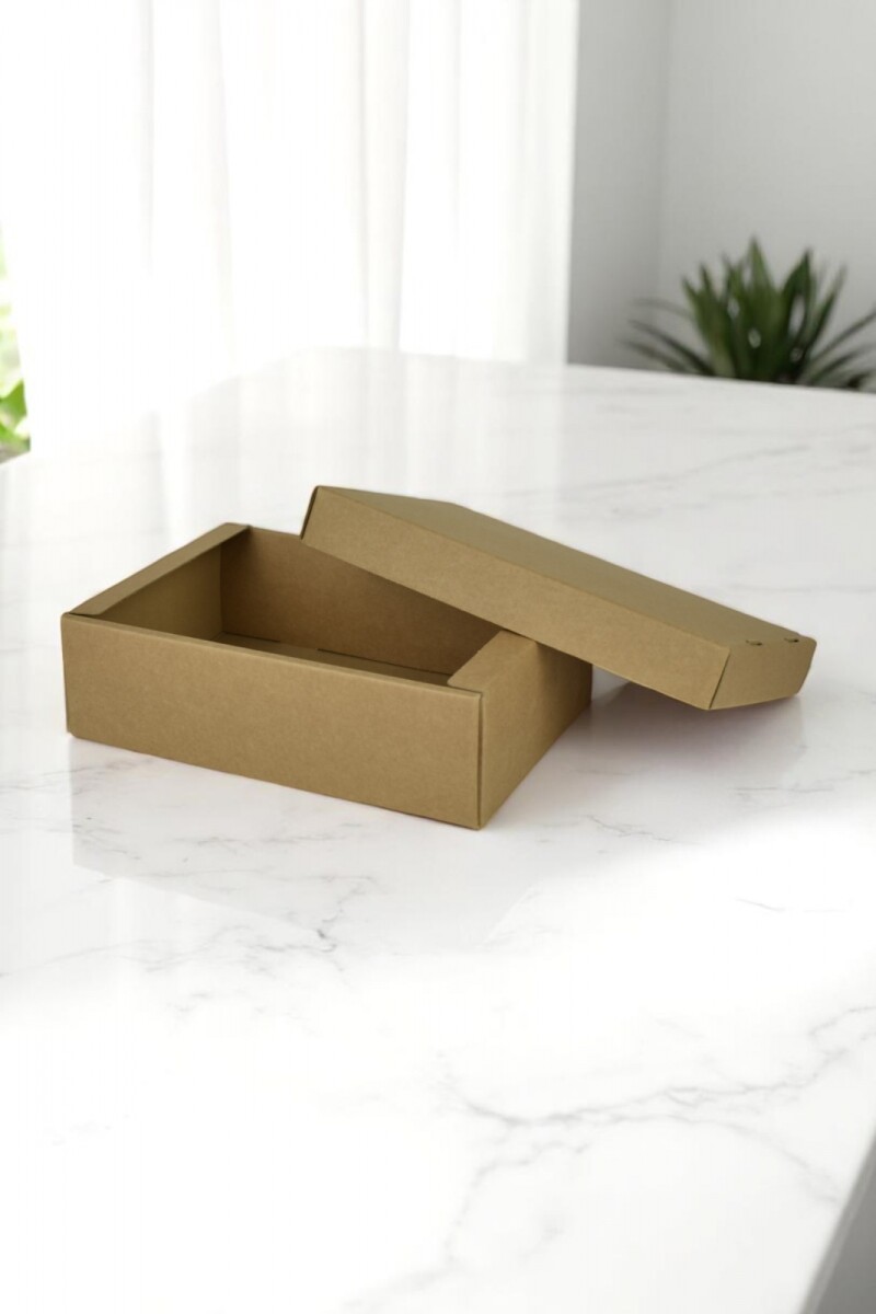 Caja + tapa f/c basic 20x15x8 - 35888 - KRAFT MARRON 