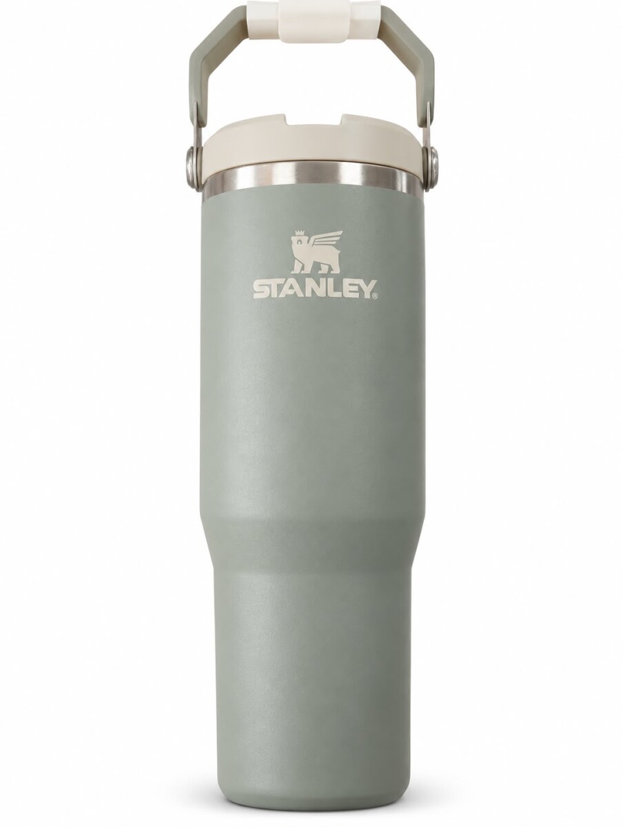 Botella FLIP STRAW TUMBLER - Gris 