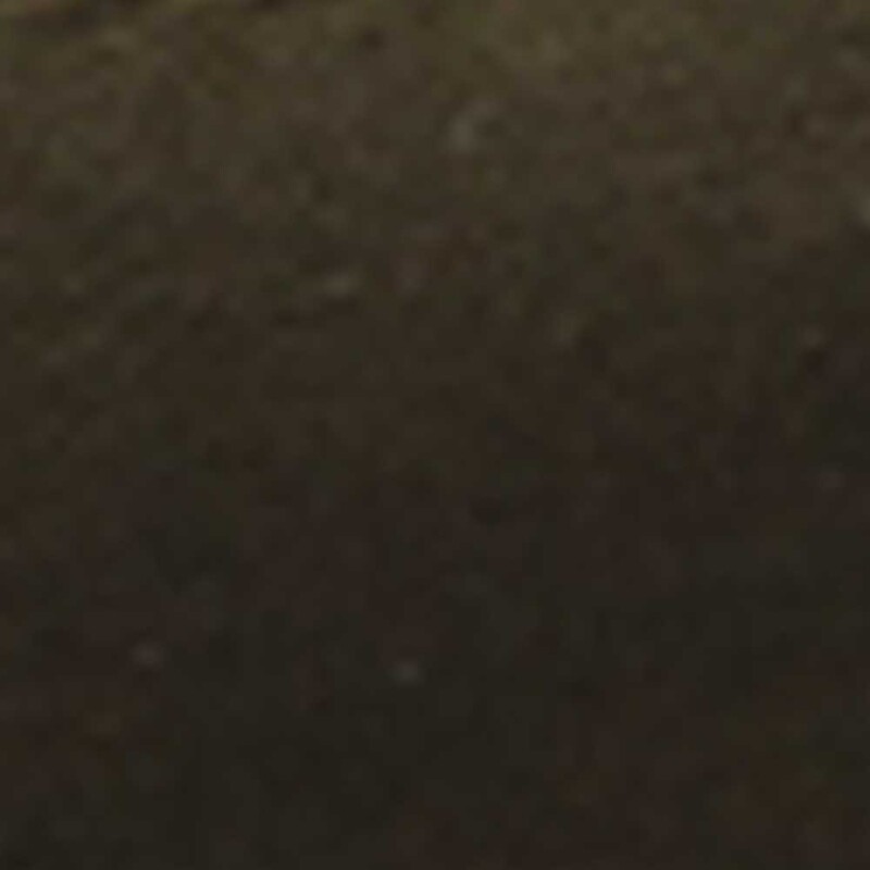 Zapatillas Winsor Park Low Hombre Deep Lichen Green