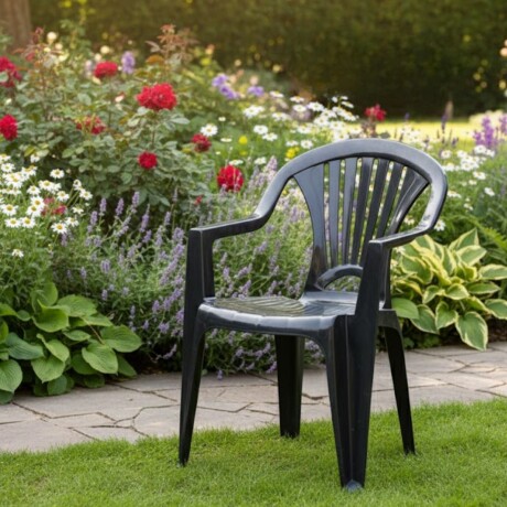 Silla reforzada con apoya brazos NEGRO