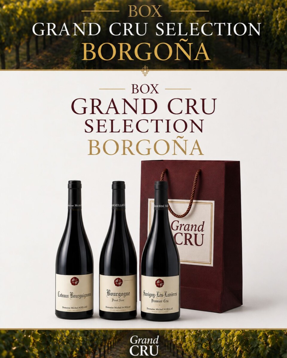 Box Grand Cru – Selección Borgoña 
