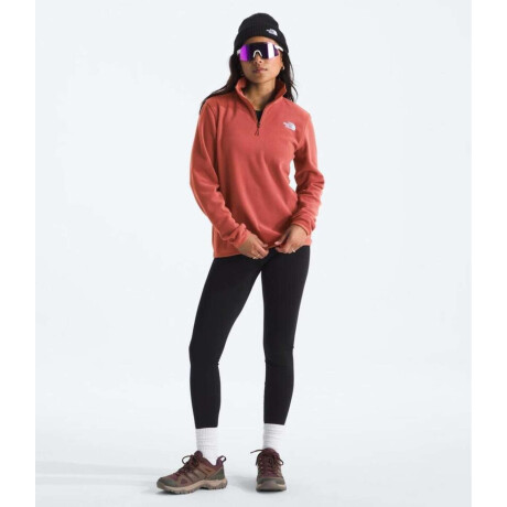 Buzo polar Glacier Mars Dust