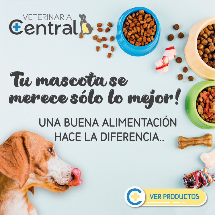 Alimento para tu Mascota