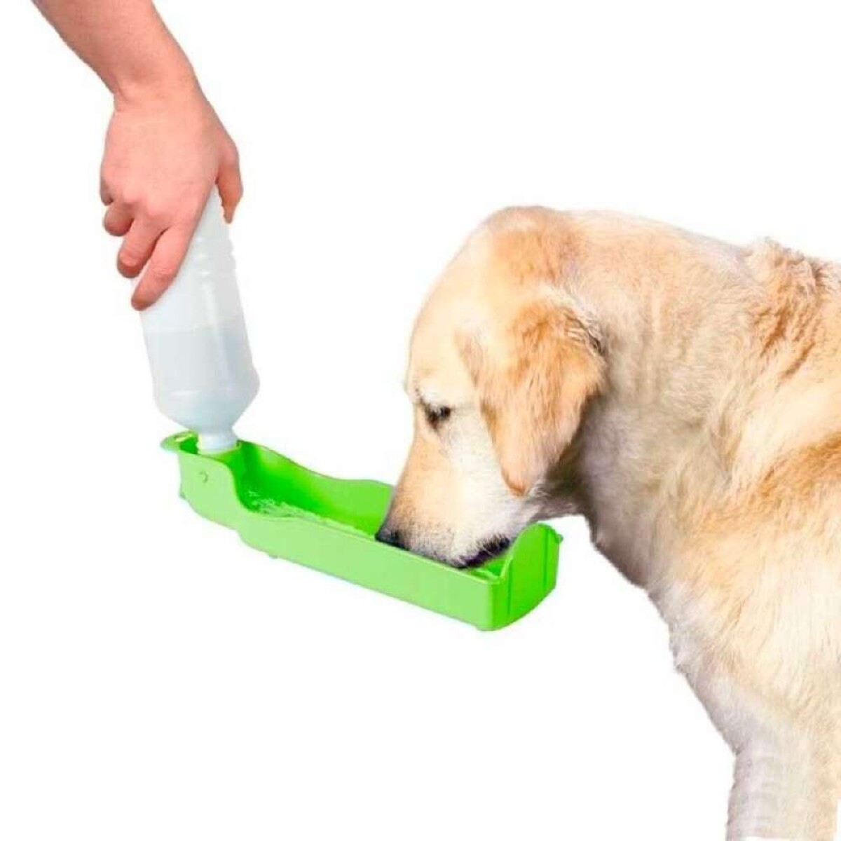 Bebedero Dispensador Portatl Para Mascotas - Verde 