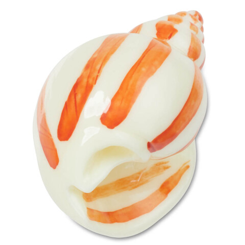 Jibbitz Natural Conch Shell Multicolor