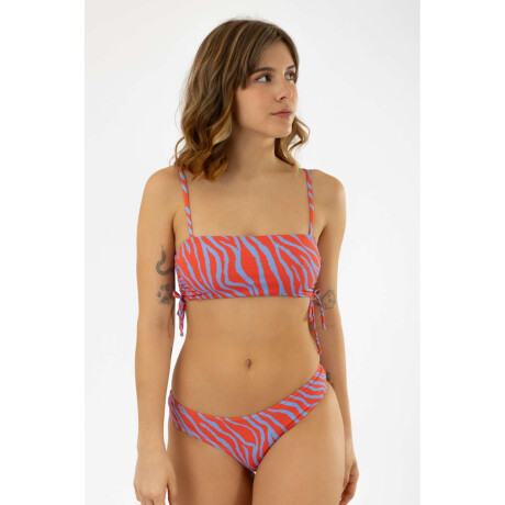 Culotte less rxy cf Zebra coral