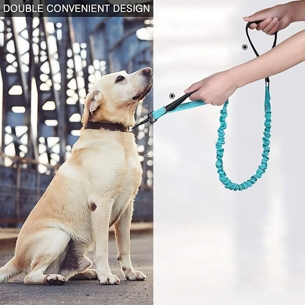 Correa Paseo Perro Elástico Doble Agarre Anti tirones 180cm Variante Color Violeta