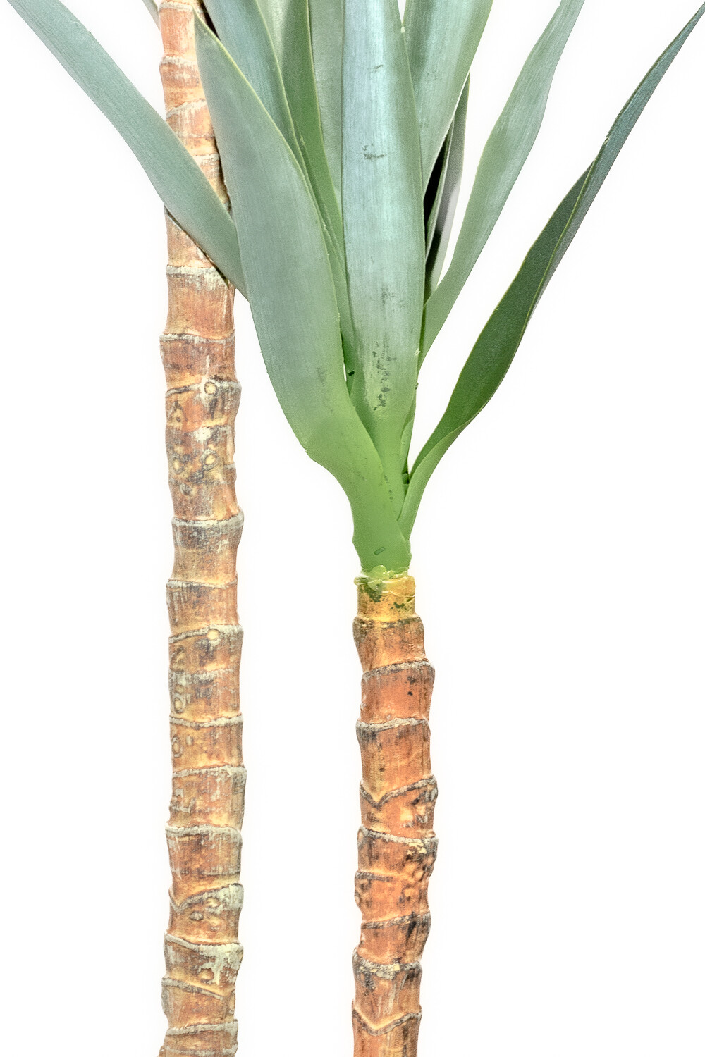 Planta Mandioca 130cm Color Unico