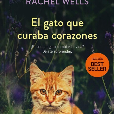 EL GATO QUE CURABA CORAZONES EL GATO QUE CURABA CORAZONES