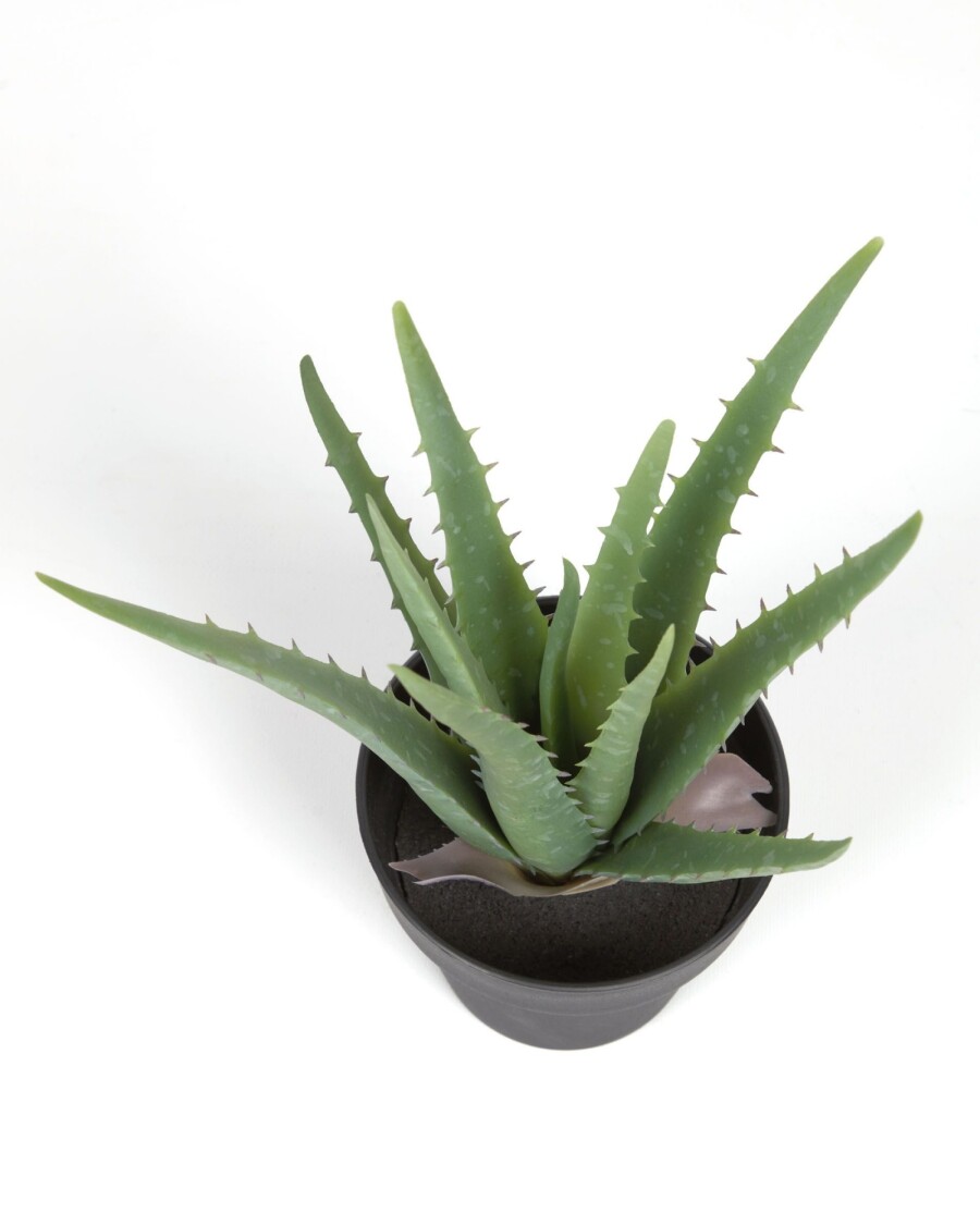 Planta artificial Aloe Vera con maceta negro 36 cm Planta artificial Aloe Vera con maceta negro 36 cm