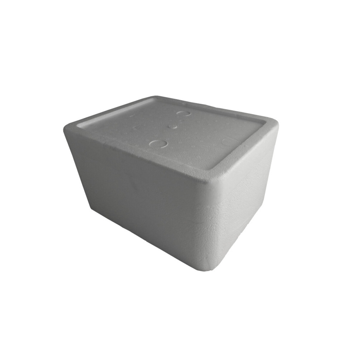 HELADERA ESPUMA 29X21.5X13.5 - 8,42 LITROS 
