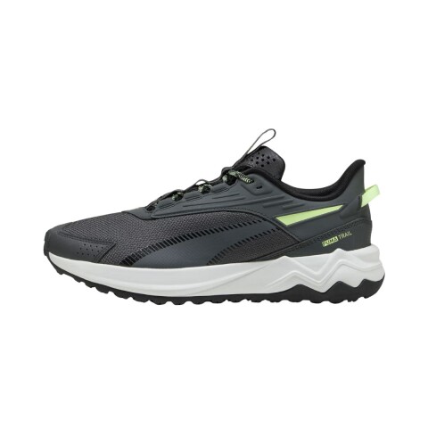 CHAMPION 40-45 GRIS