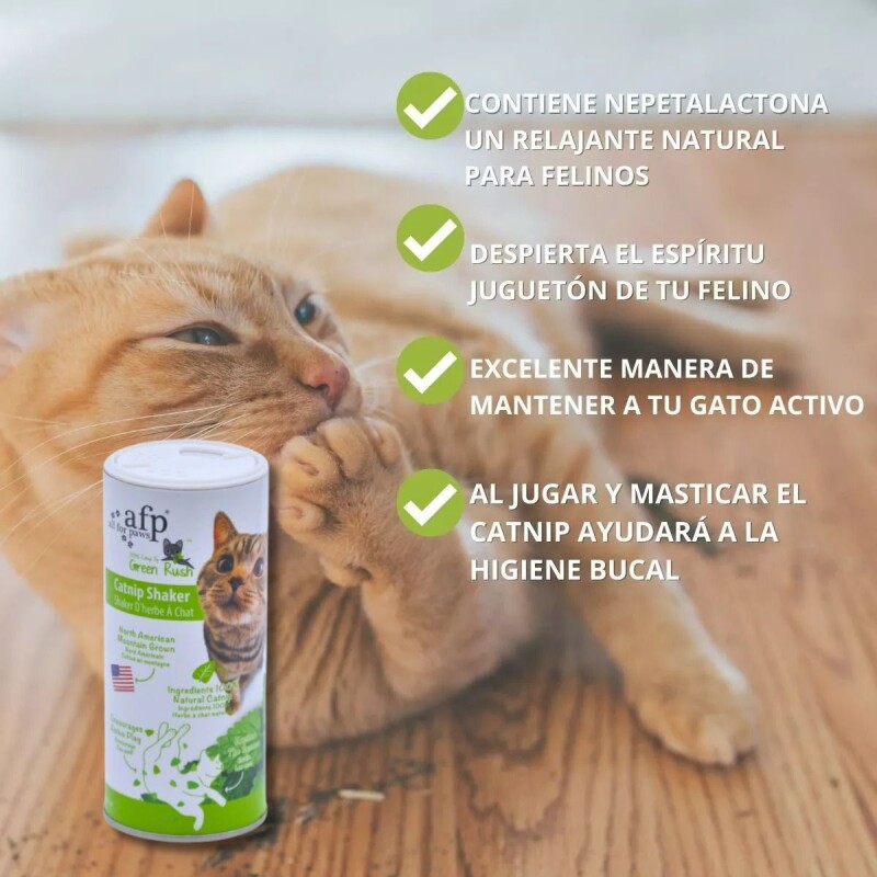 HIERBA GATERA CATNIP PARA GATOS PARA ESPOLVOREAR HIERBA GATERA CATNIP PARA GATOS PARA ESPOLVOREAR