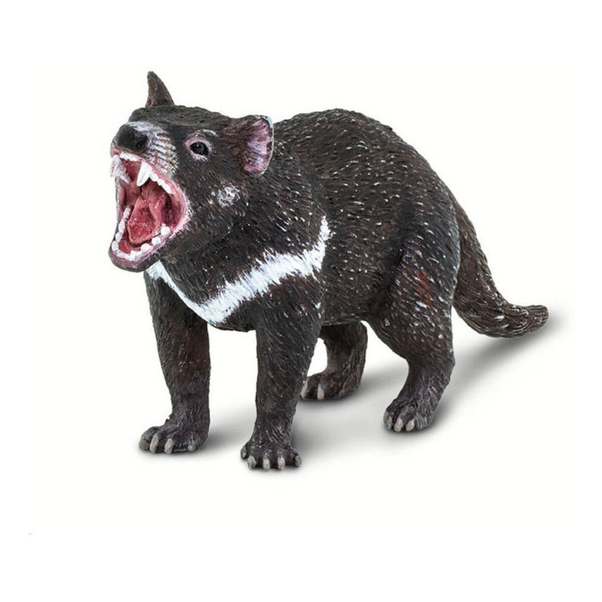 Demonio De Tasmania Safari Figura Muñeco Animal Real Niño 
